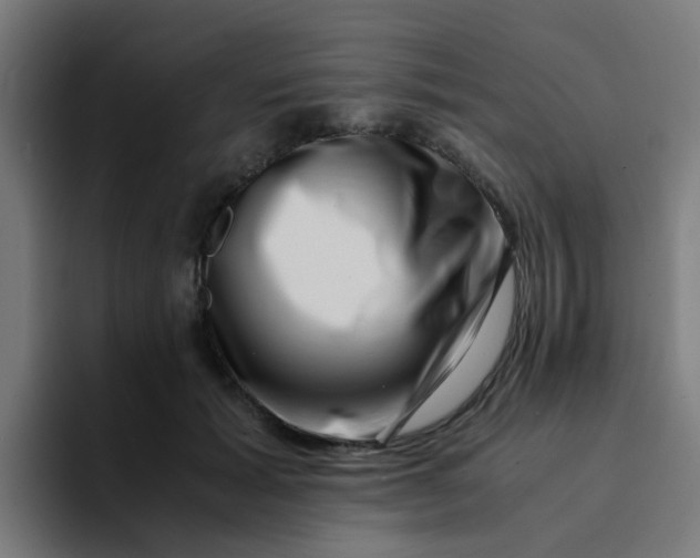 X0000094180605200711161729