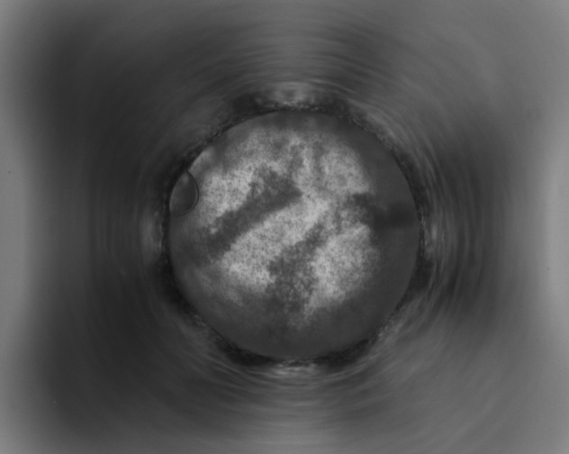 X0000094180606200711161729