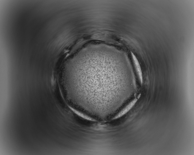 X0000094180607200711161729