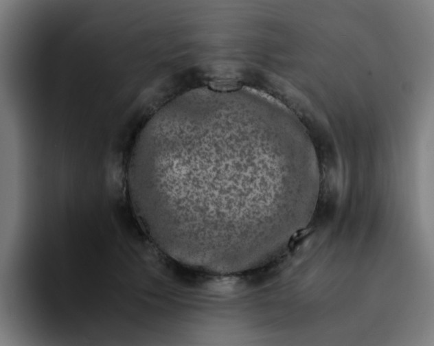 X0000094180609200711161729