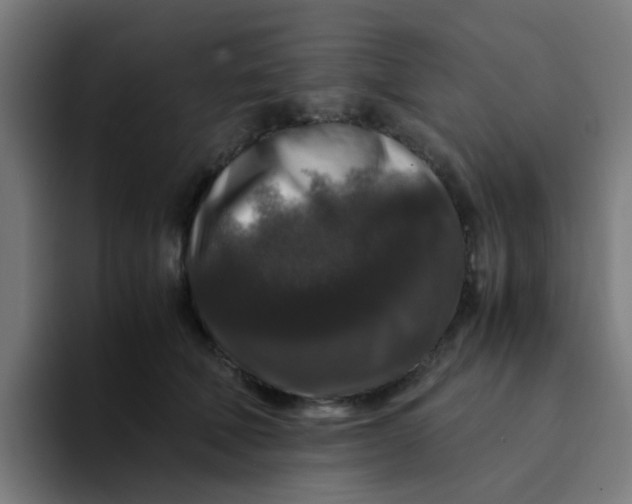 X0000094180610200711161729