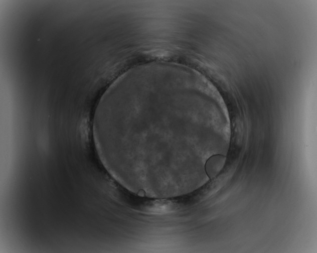 X0000094180612200711161729
