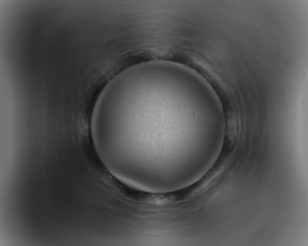 X0000094180613200711161729