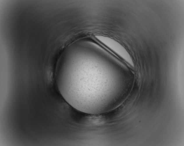 X0000094180615200711161729