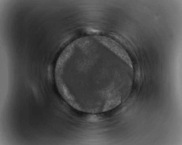X0000094180616200711161729