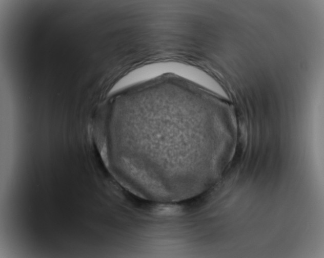 X0000094180617200711161729