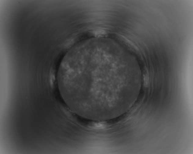 X0000094180618200711161729