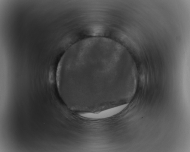 X0000094180620200711161729