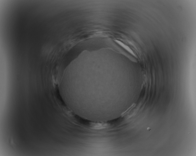 X0000094180621200711161729
