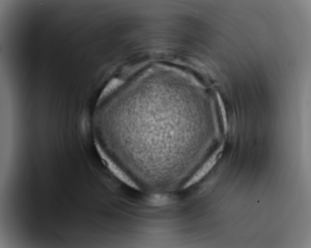 X0000094180623200711161729