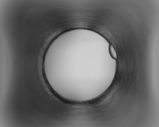X0000094180625200711161728
