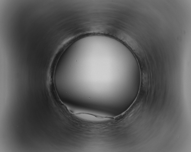 X0000094180628200711161728