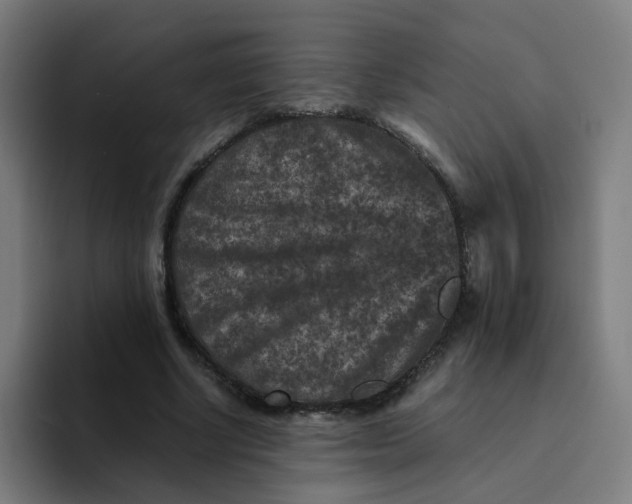 X0000094180634200711161729