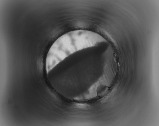 X0000094180637200711161729