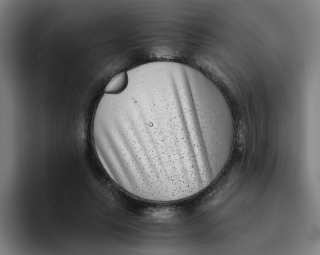 X0000094180639200711161729
