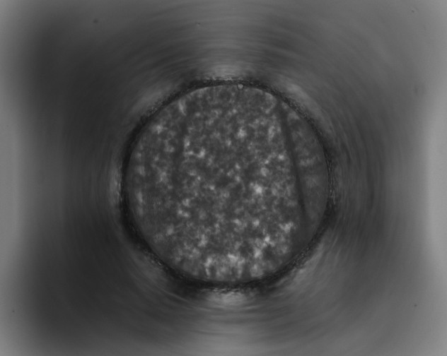 X0000094180640200711161729