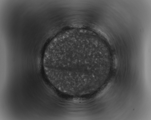 X0000094180641200711161729