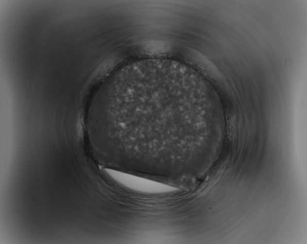 X0000094180644200711161729