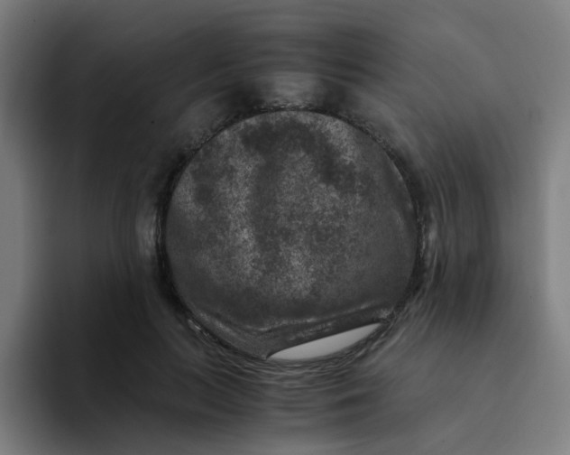 X0000094180647200711161729