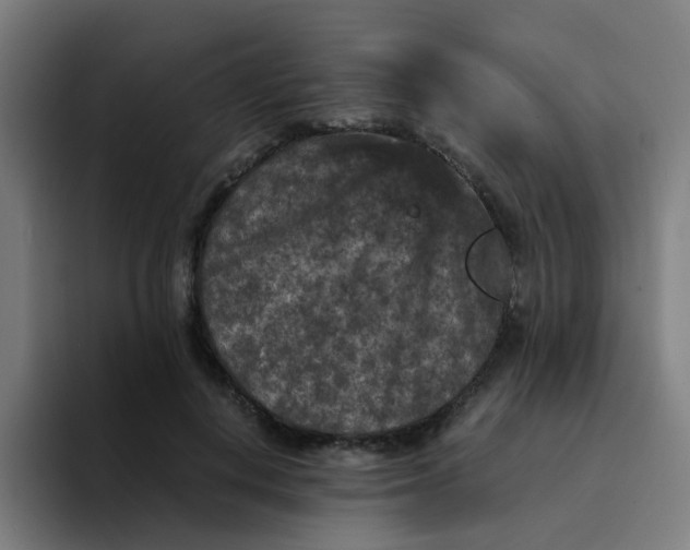 X0000094180648200711161729