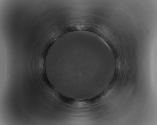 X0000094180650200711161729