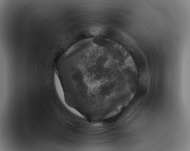 X0000094180651200711161729