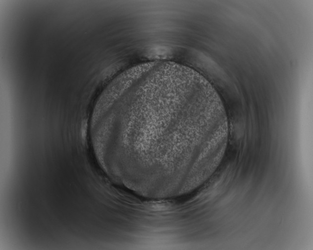 X0000094180652200711161729