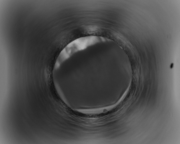 X0000094180653200711161729