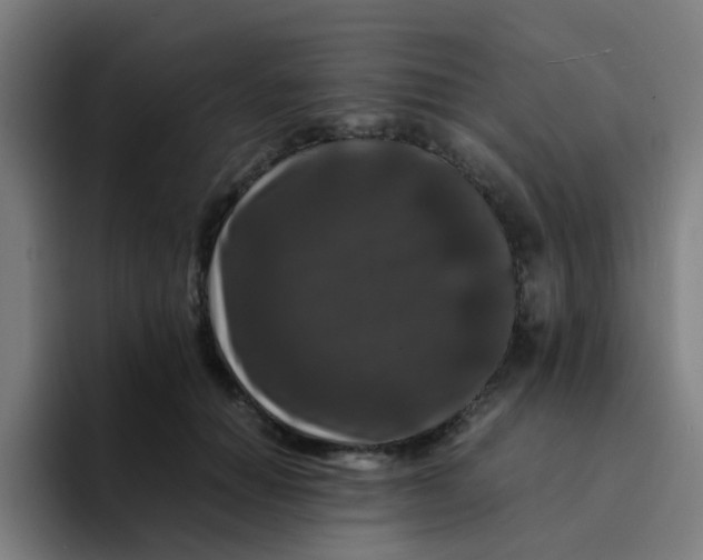 X0000094180654200711161729