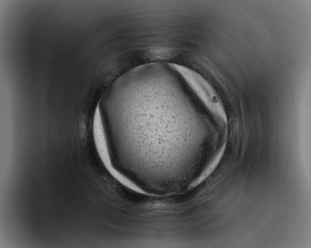 X0000094180655200711161729