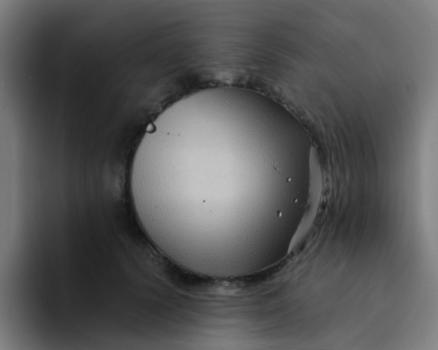 X0000094180656200711161729