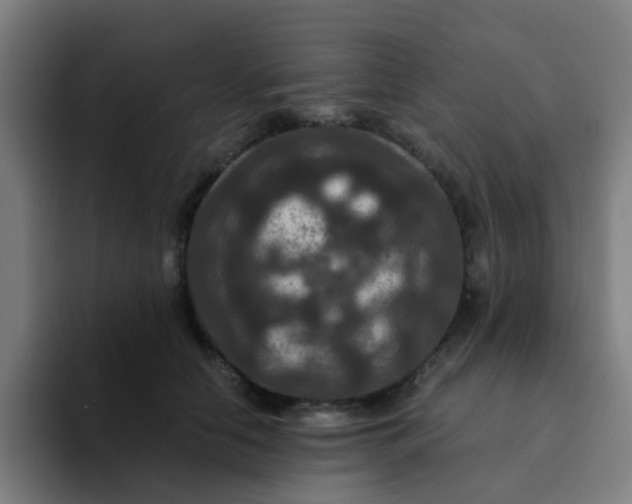 X0000094180658200711161729