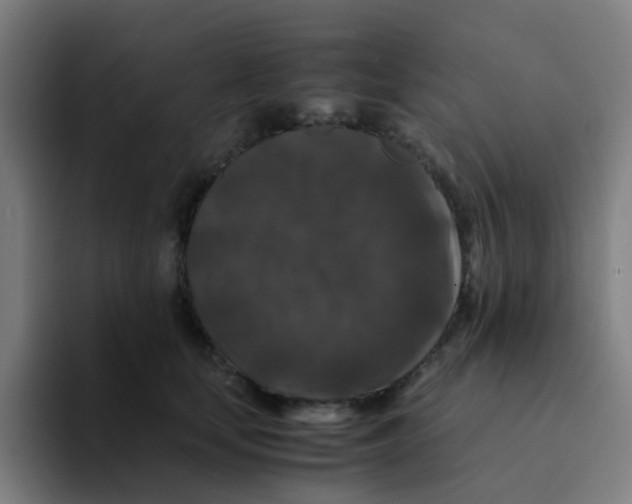 X0000094180659200711161729
