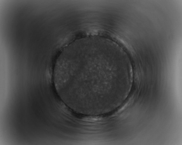 X0000094180661200711161729