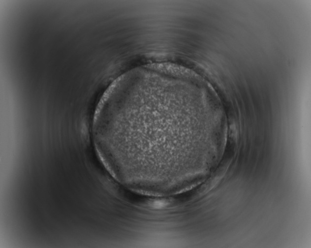 X0000094180662200711161729
