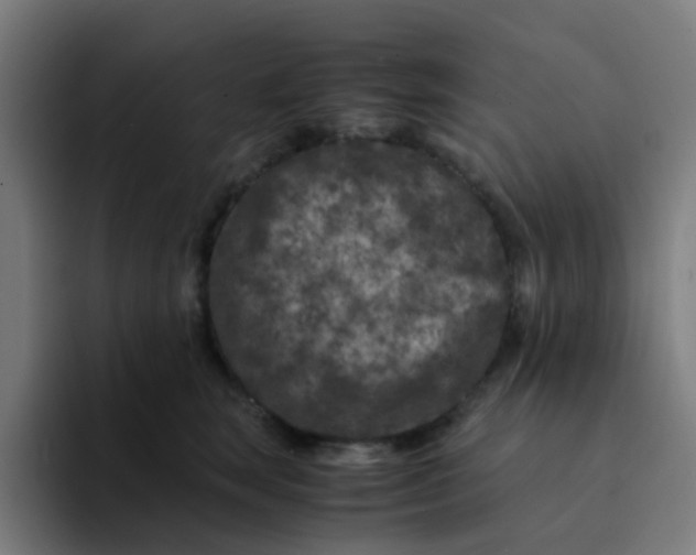 X0000094180663200711161729