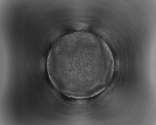X0000094180664200711161729
