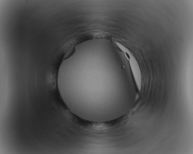 X0000094180666200711161729