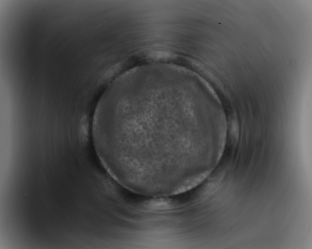 X0000094180668200711161729