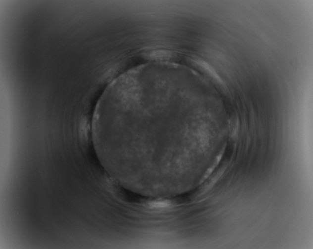 X0000094180669200711161729