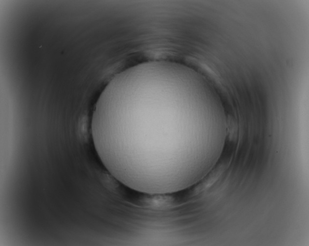 X0000094180670200711161729