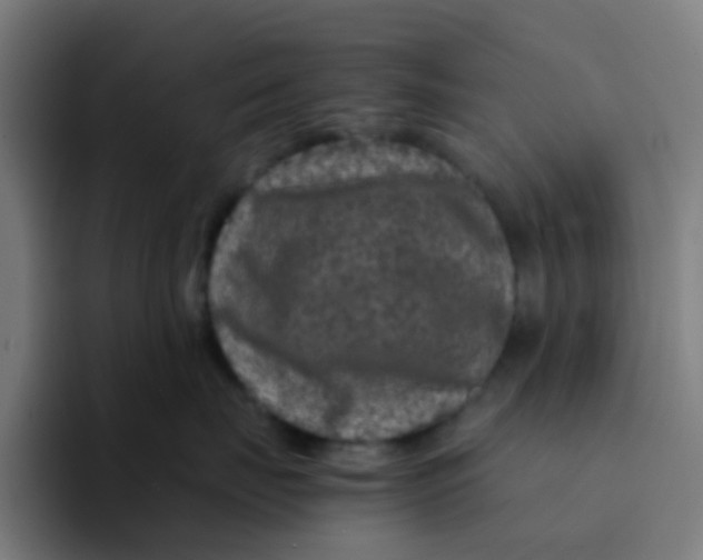 X0000094180671200711161729