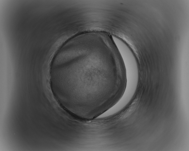 X0000094180673200711161728