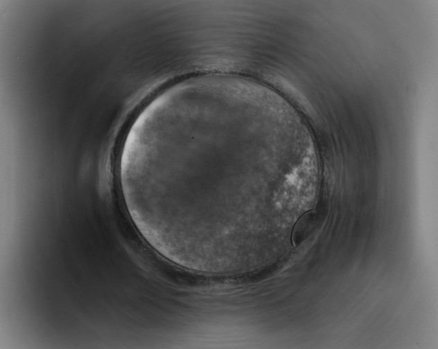 X0000094180674200711161728