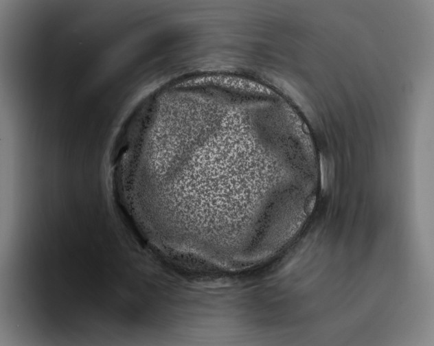 X0000094180675200711161728