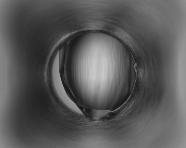 X0000094180676200711161728