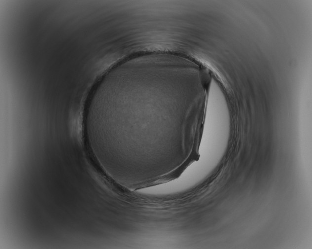 X0000094180677200711161728
