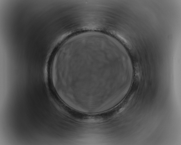 X0000094180678200711161728