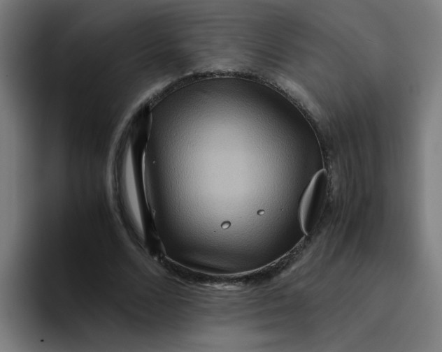 X0000094180680200711161728