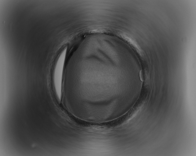 X0000094180681200711161728